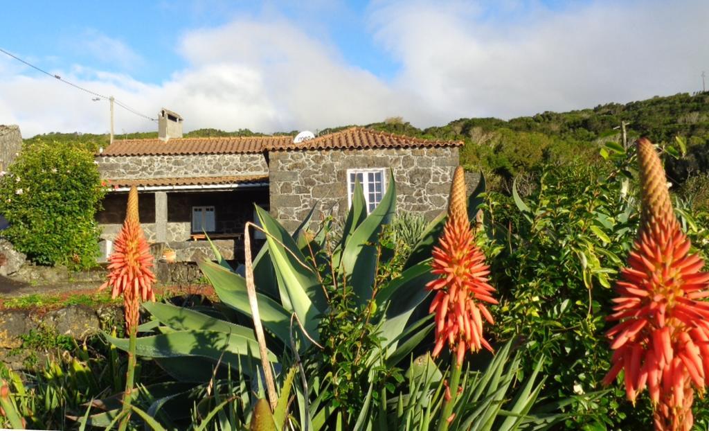 Casa Do Bernardo Villa Feiteira Buitenkant foto